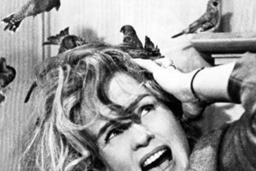 8 κινηματογραφικά facts που δε γνώριζες