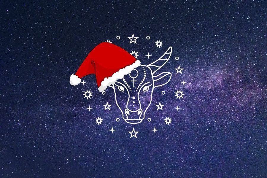 Christmas Gifts: Τα καλύτερα δώρα για τους Ταύρους