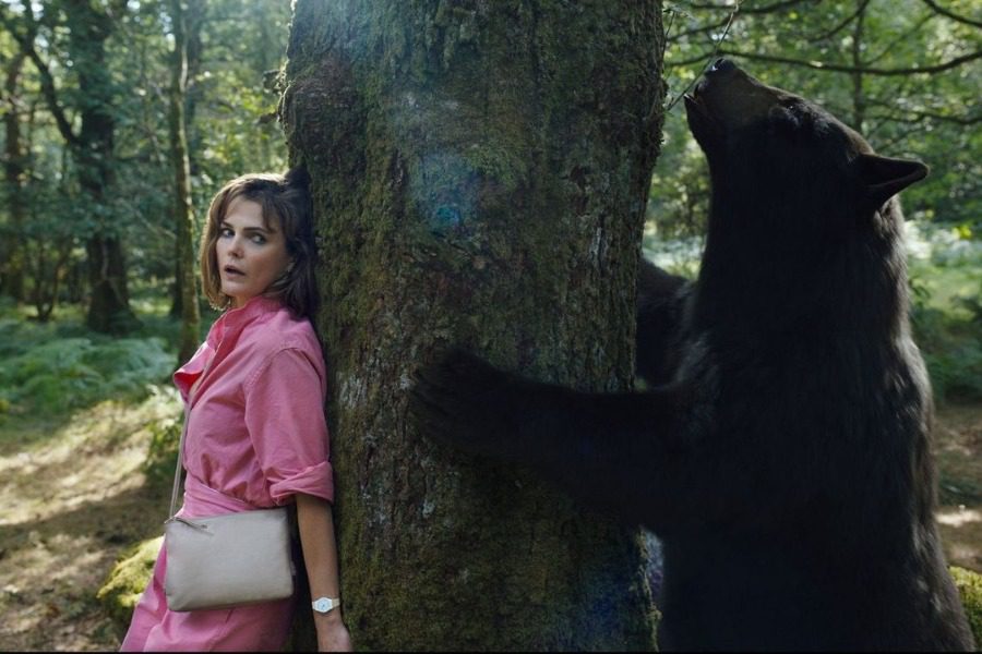Ταινίες της εβδομάδας: Η αληθινή ιστορία της αρκούδας που πήρε κοκαΐνη και η επιστροφή του Creed