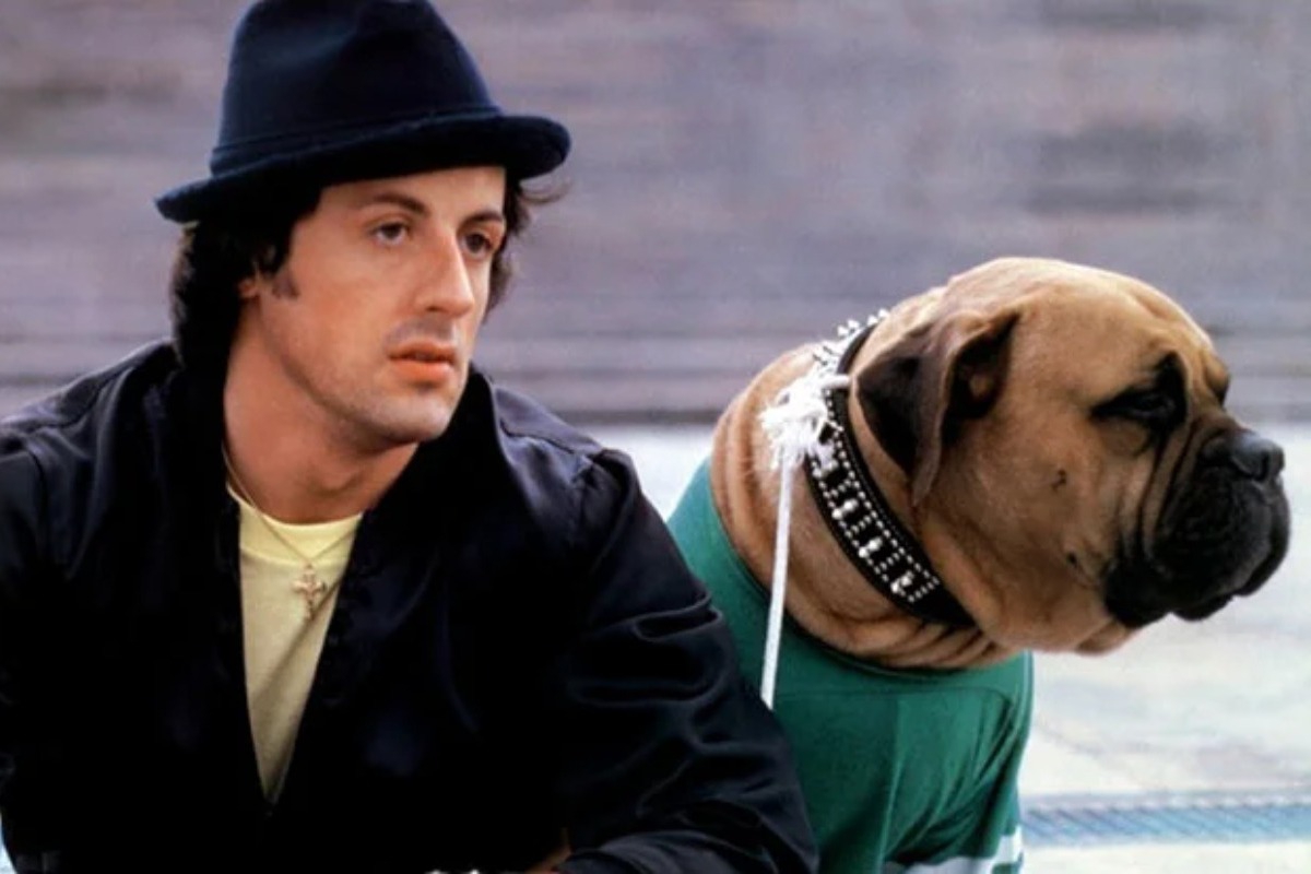 Η συγκινητική ιστορία του άστεγου Sylvester Stallone και του σκύλου του