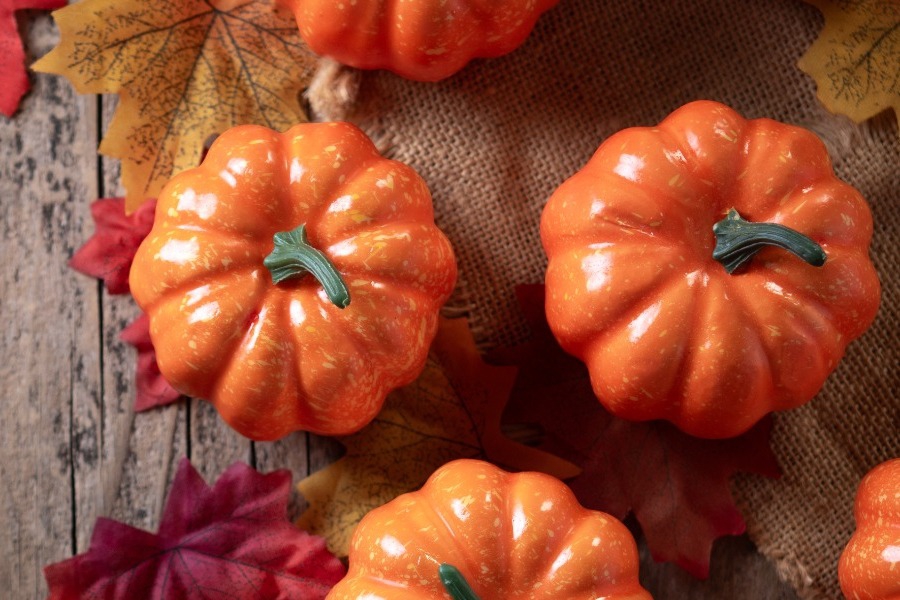 Τα ζώδια σήμερα 6/11: Τίποτα δεν σε σταματά σήμερα