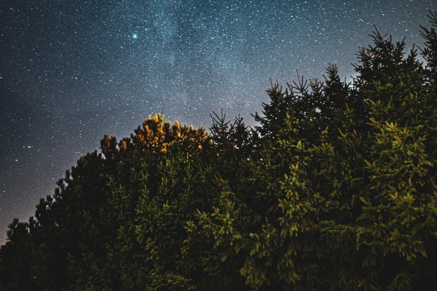 Τα ζώδια σήμερα 15/11: Σήμερα λάμπεις χωρίς να το κυνηγάς