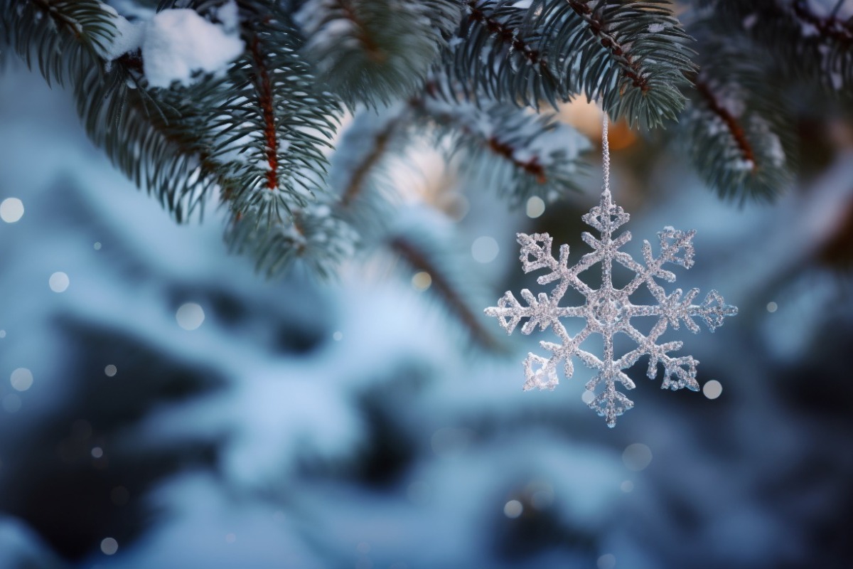 Τα ζώδια σήμερα 24/12: Χριστούγεννα στα άστρα – Τι σου φέρνει η παραμονή, ζώδιο ζώδιο