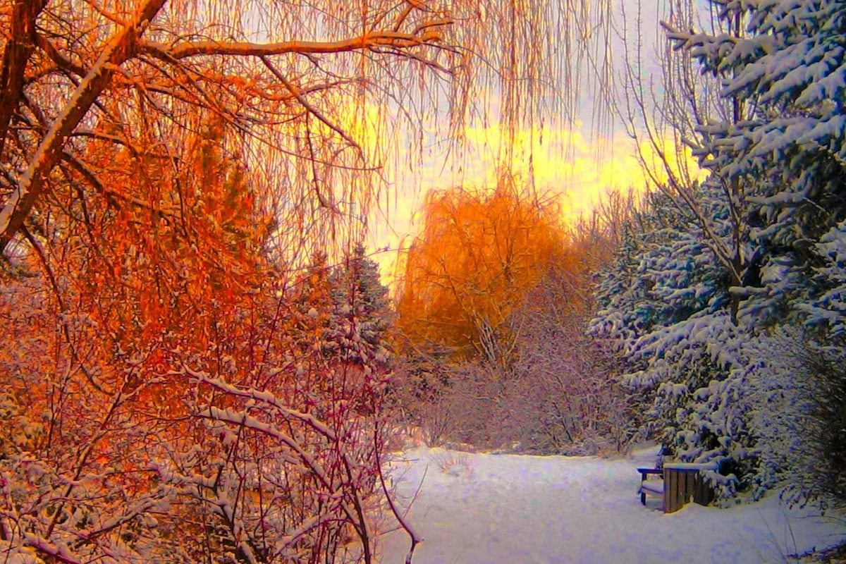 Τα ζώδια σήμερα 1/12: Κάποιος σου προσφέρει μια λύση που δεν είχες σκεφτεί