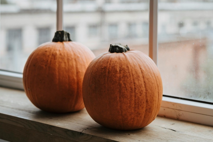 Τα ζώδια σήμερα 7/11: Κράτα το focus στους στόχους