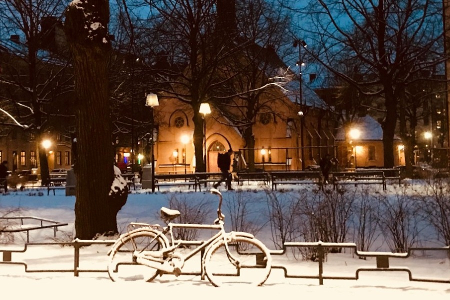 Τα ζώδια σήμερα 24/11: Μια παλιά ιδέα παίρνει ξανά αξία