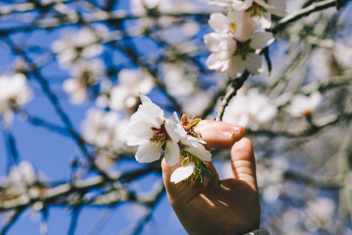 Ζώδια του Μήνα: Απρίλιος ‑ Eρωτες, επιστροφές και ανατροπές
