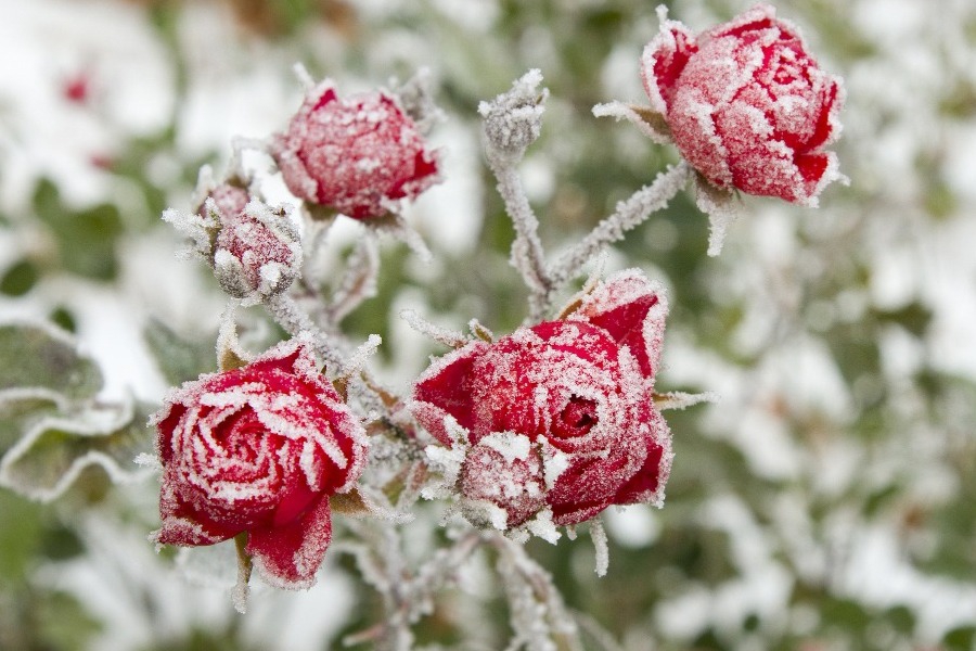 Τα ζώδια σήμερα 9/2: Μια ιδέα σου ανοίγει δρόμο