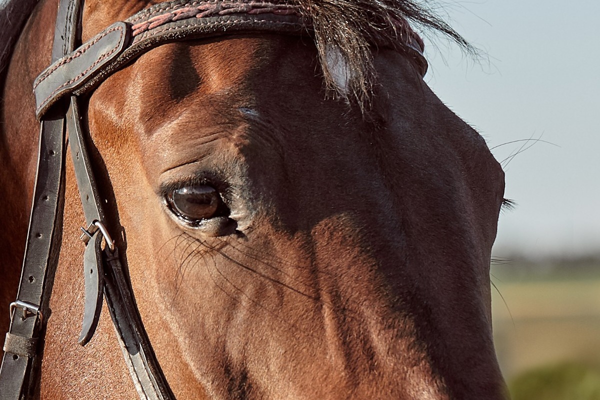 H πιο πρωτότυπη έναρξη πασαρέλας έφερε μπελάδες στην Chanel