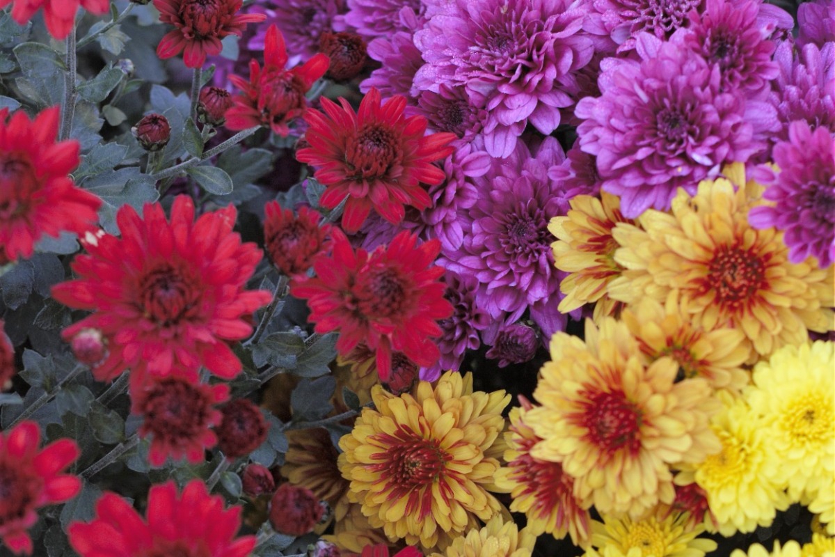 Τα ζώδια σήμερα 31/3: Ό,τι δεν σου ταιριάζει πια, δεν το κουβαλάς στον επόμενο μήνα