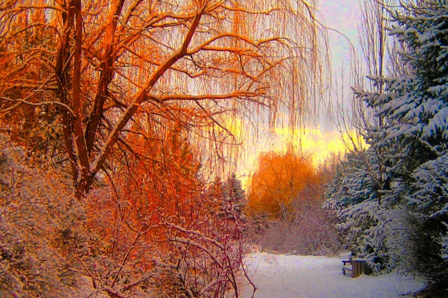 Τα ζώδια σήμερα 22/1: Όχι δράματα σήμερα