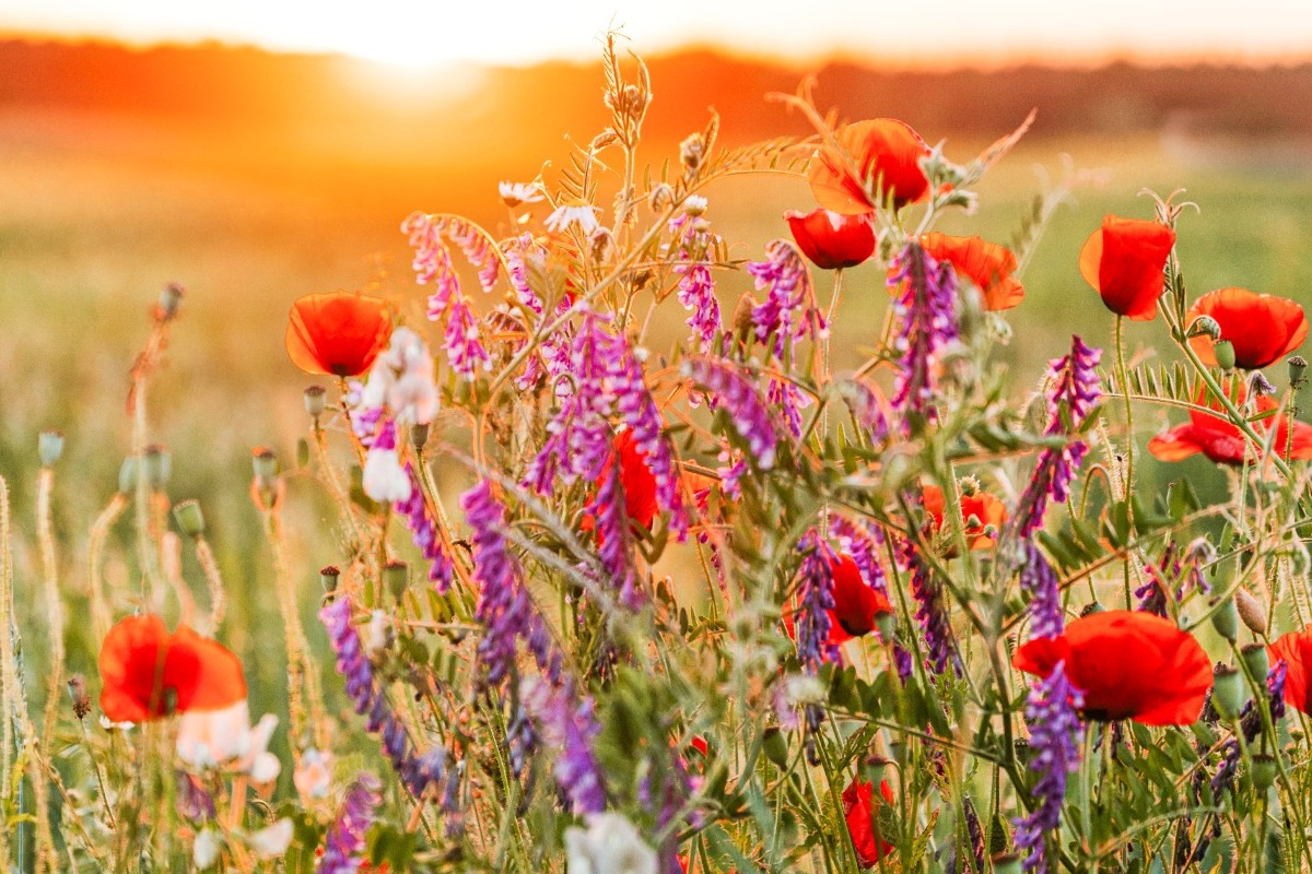 Τα ζώδια σήμερα 10/3: Η μέρα σε καλεί να χαμηλώσεις λίγο ρυθμούς
