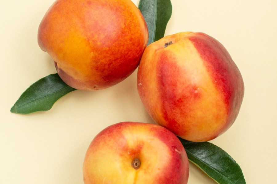 Τα ζώδια σήμερα 3/4: Μια λεπτομέρεια σήμερα σου ανοίγει τα μάτια