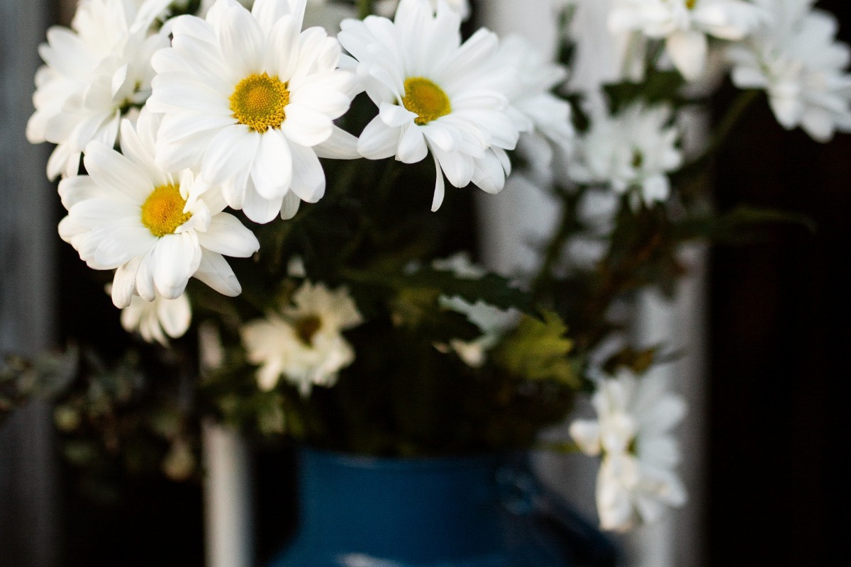 Τα ζώδια σήμερα 28/2: Μην φοβηθείς να δεις την αλήθεια όπως είναι